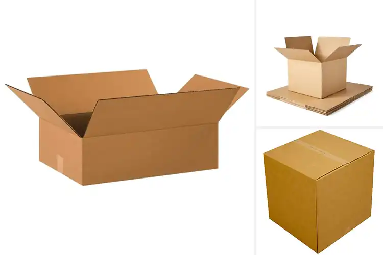 Detailed view of Best Value Box Of 20: Top Picks for Easy Packing & Storage