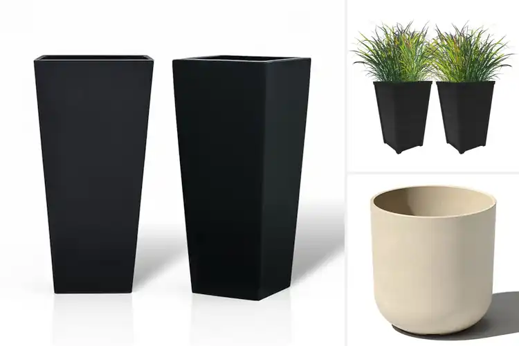 Detailed view of Best Weather Resistant Planters