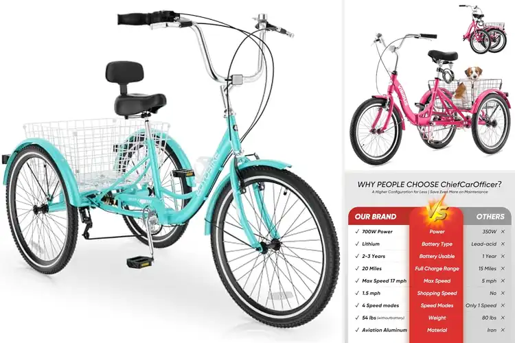 Detailed view of Best Weight Capacity 300 Pound Trike