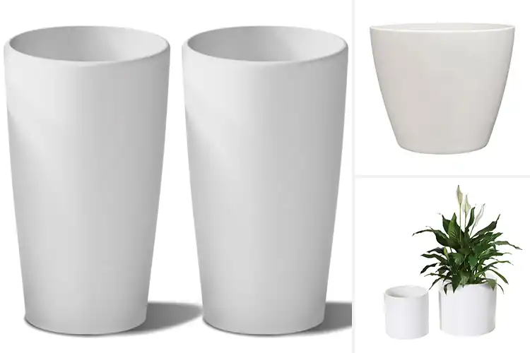 Detailed view of Best White Finish Planter