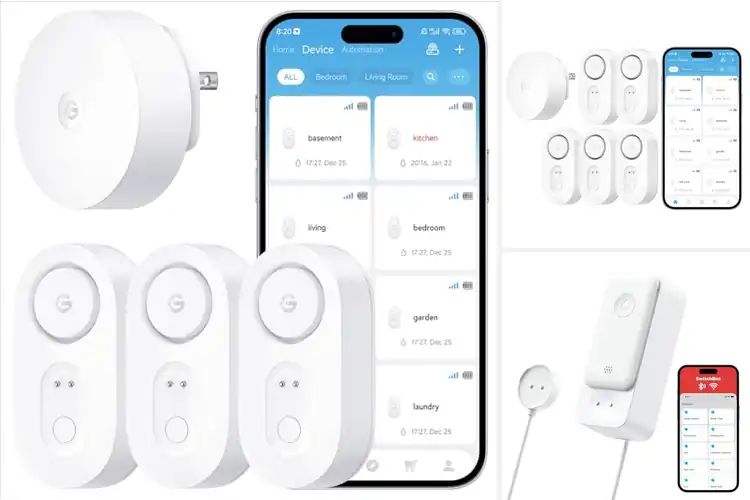 Detailed view of Best Wi-Fi Water Alarms